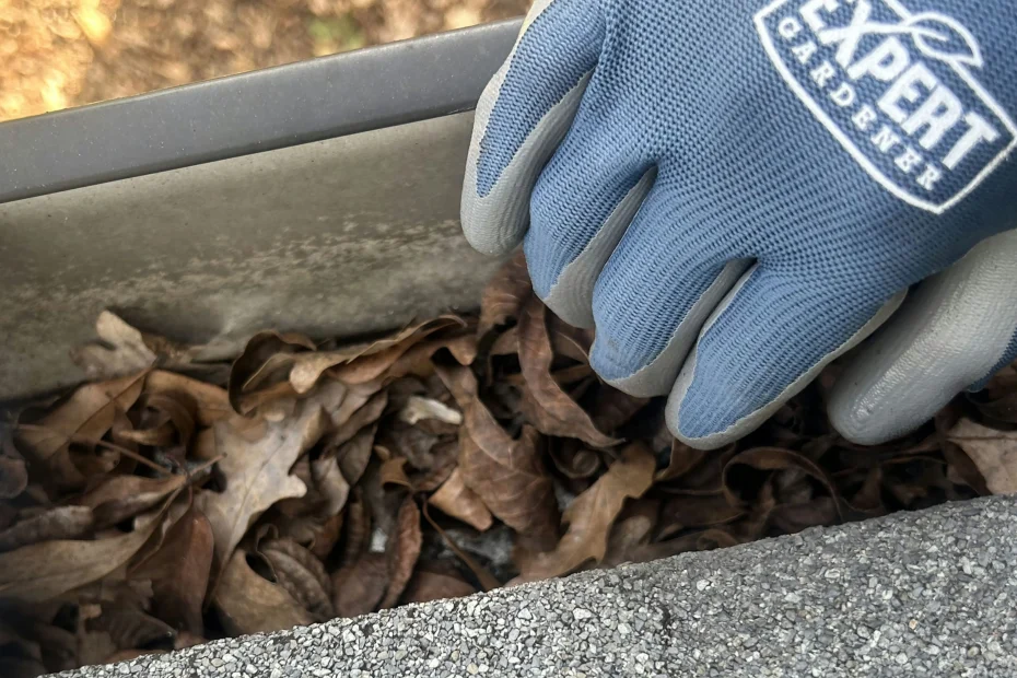 Gutter Cleaning Manor, TX