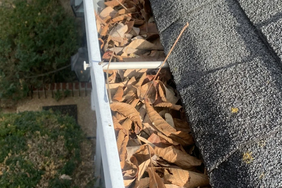 Gutter Cleaning Manor, TX