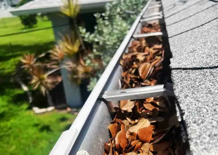 Gutter Cleaning Manor, TX home page